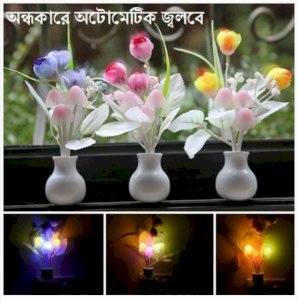 Chinese Plastic LED Night Light Mushroom Lamp for Home