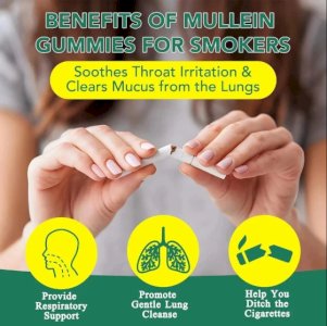 60pcs Mullein Gummies,Mullein Leaf Extract for Lungs,2000mg Mullein Extract for Lung Cleanse,Mullein Gummies for Lungs Health